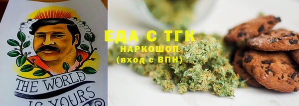 СК Волосово
