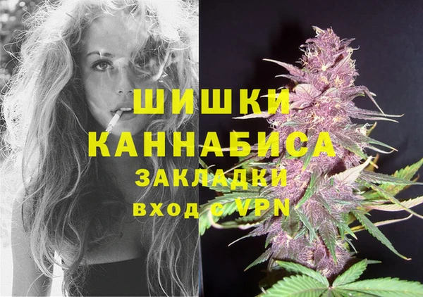 бошки Волоколамск