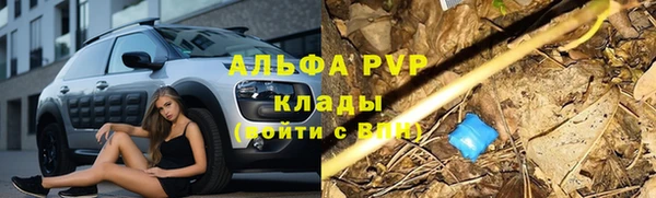 СК Волосово