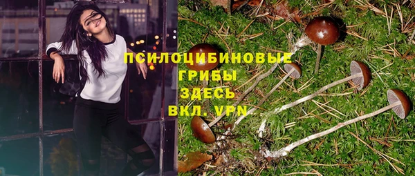 бошки Волоколамск