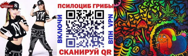 Псилоцибиновые грибы Cubensis  Исилькуль 